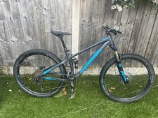 Marin Hawk Hill 2017 (Small)